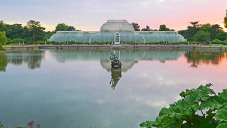 Palm House, Londra