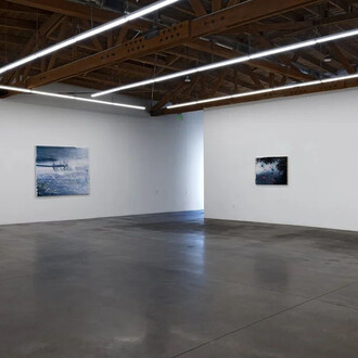 Heide Fasnacht, Nature once removed, exhibition view. Courtesy of Shoshana Wayne Gallery