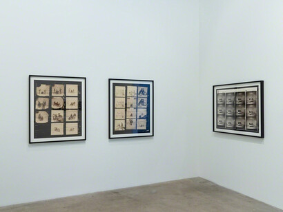 Joe Ray. Complexion Constellation, Exhibition view. Courtesy of Diane Rosenstein