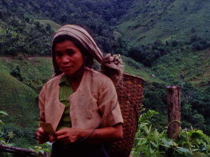Donna Kachin