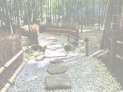 Houkokuji Temple © Alma Reyes