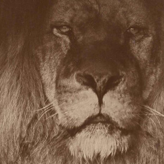 Before and After. Courtesy of Museum für Fotografie