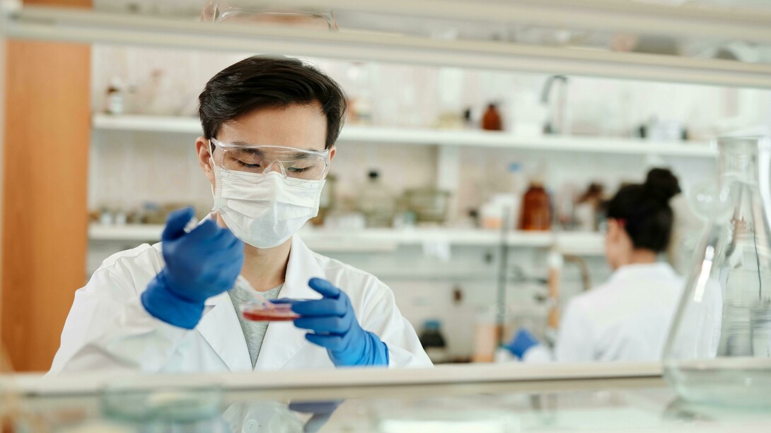 Laboratorio. Carne in vitro: la soluzione per soddisfare la crescente domanda di proteine senza danneggiare l'ambiente