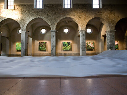 Hans Haacke. Once Upon a time, 2011