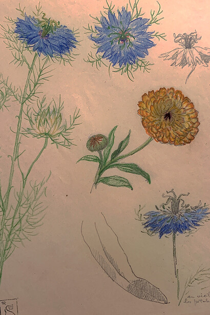 Théophile Alexandre Steinlen, Disegno