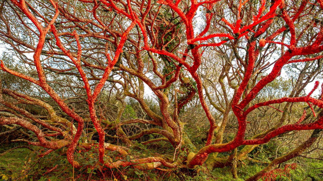 Sari Soininen, Dimension 9, from the series Transcendent country of the mind, 2020. Courtesy of Aboa Vetus and Ars Nova