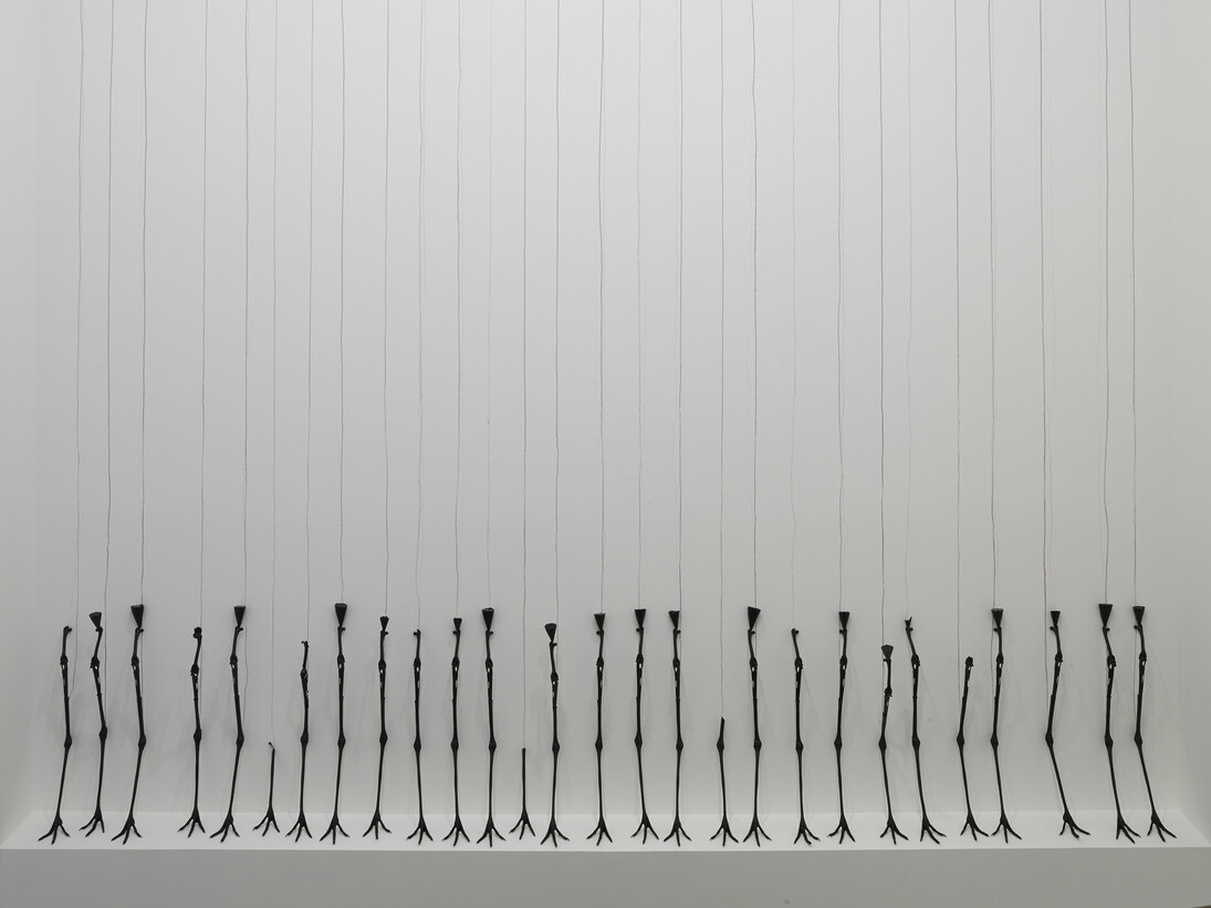 Michael Joo, DRWN, Carunculatus (28), 2015, Courtesy the artist and BlainSouthern