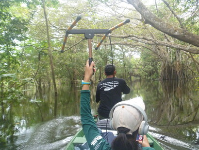 Buscando al jaguar