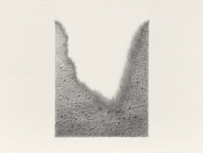 Jane Dixon, Ditch, 2011, 34.5 x 26.8 cm, graphit frottage and pencil on paper