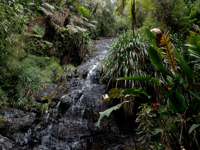Cascada en el Biotopo del Quetzal Mario Day Rivera. Foto Willy Castellanos