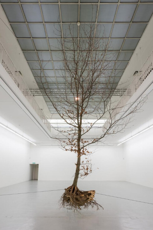 Henrik Håkansson. Courtesy of KODE