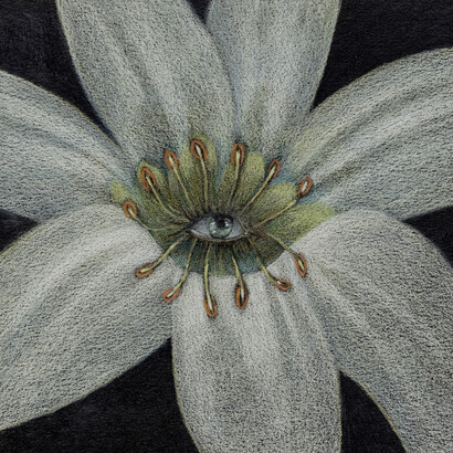 Elizabeth Shull, Looking closely but does it see you, 2023. Courtesy of Lowell Ryan Projects