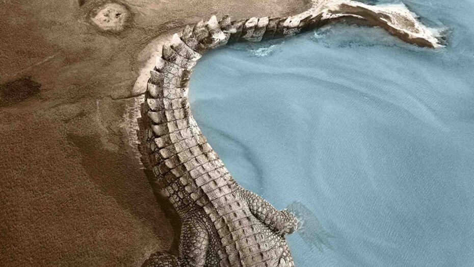 Gapu-Monuk Saltwater. Courtesy of ANMM