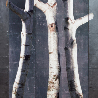 Roderick Coyne, Portrait, natural slate, paint and photographic print, 152 x 158 cm, 2015 