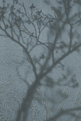 Susan Derges. Courtesy of Purdy Hicks Gallery