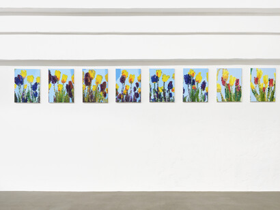 Andee Collard, The machine garden, exhibition view. Courtesy of Lowell Ryan Projects