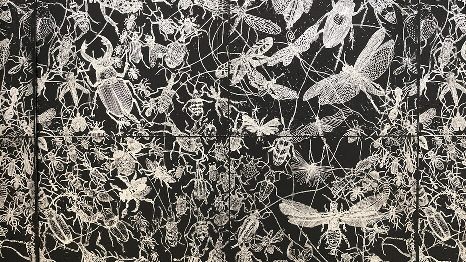 Claire Burbridge, Insects. Courtesy of Nancy Toomey Fine Art Gallery