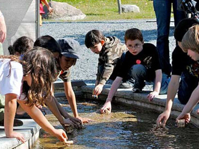 Water and How It Moves. Courtesy of Montshire Museum of Science
