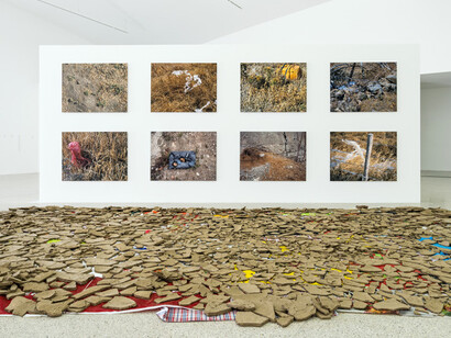 Natural Histories, Exhibition view. Courtesy of Mumok 