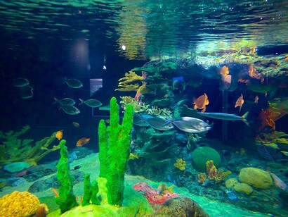 Oceanário de Lisboa