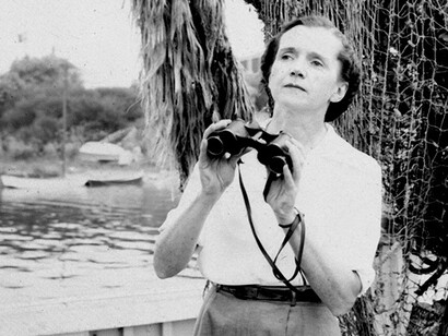 Rachel Carson, biologa e zoologa statunitense