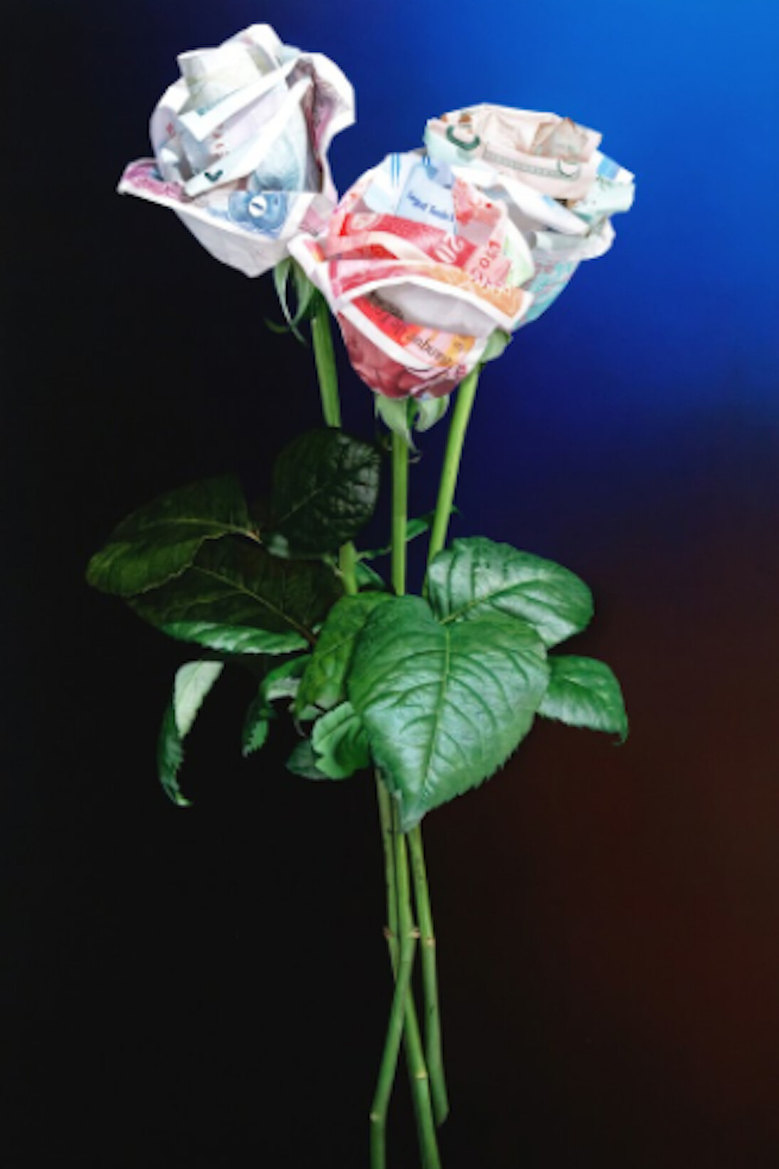 Tom Martin. Courtesy of Plus One Gallery