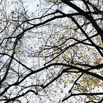 Le singole discipline ci hanno aiutato a conoscere meglio il mondo, ma spesso non riescono a spiegare come i diversi fenomeni siano collegati tra loro