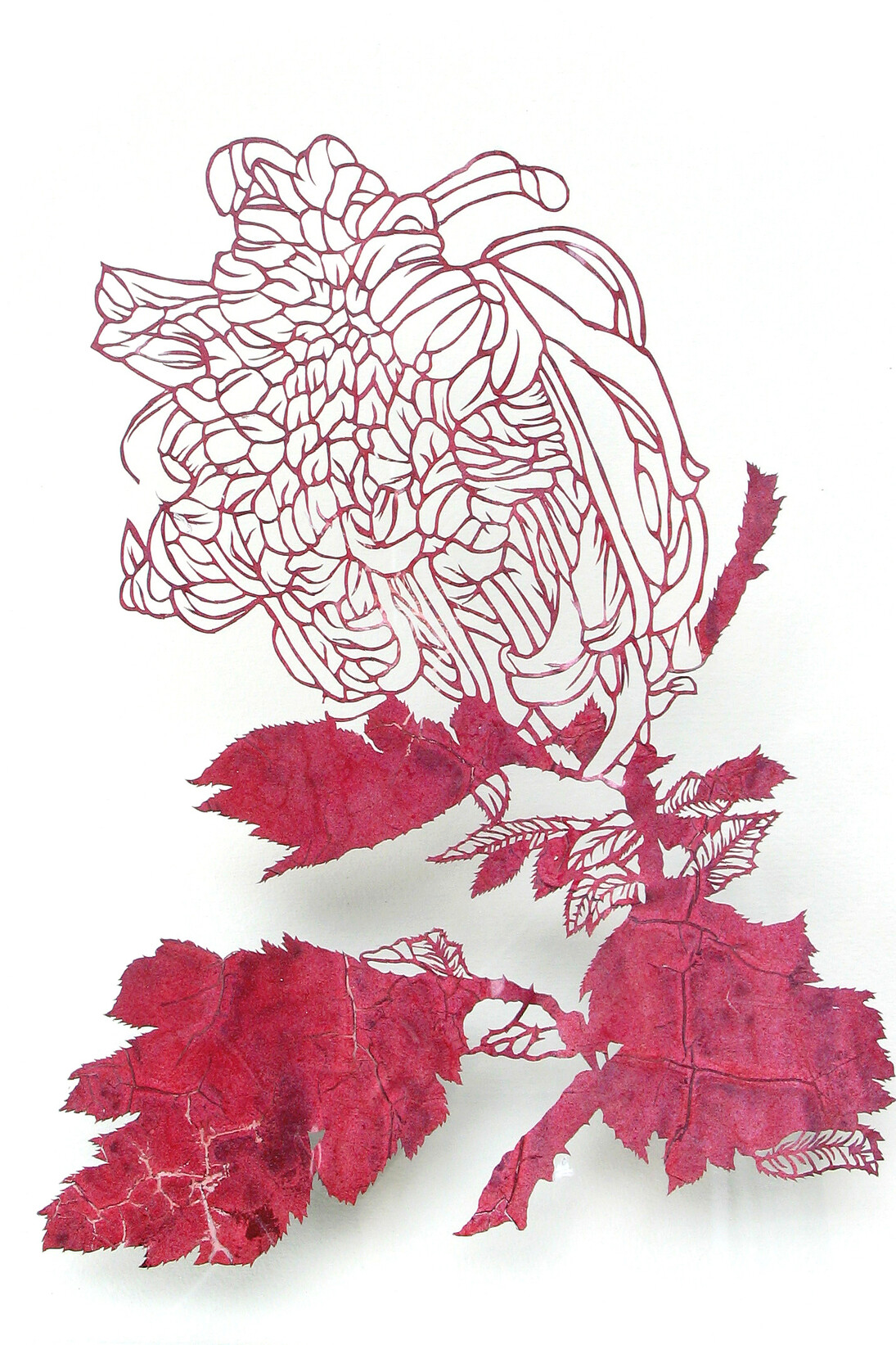 Nick Fox, Dreamcatcher (Chrysanthemum flower no.2), 2010, cut out acrylic paint, 23 cm x 17 cm
