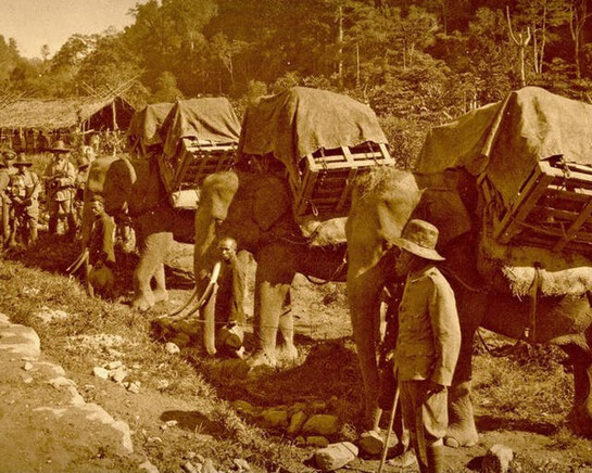 Brigade marechaussee met olifantentransport te Lammeulo, 1928.  Courtesy of M HKA 