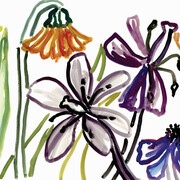 Nerys Johnson, Flowers in outline I, gouache 1999, 44.5 x 57 cm