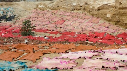 Tannery in Morocco. Skins in several colors
