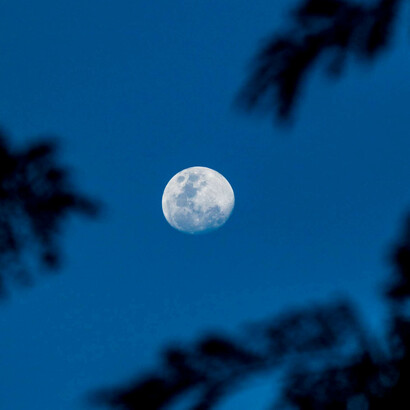 Chiunque era terrorizzato all'idea di mettersi contro due tipi come Pete Jameson e Patti Emerson