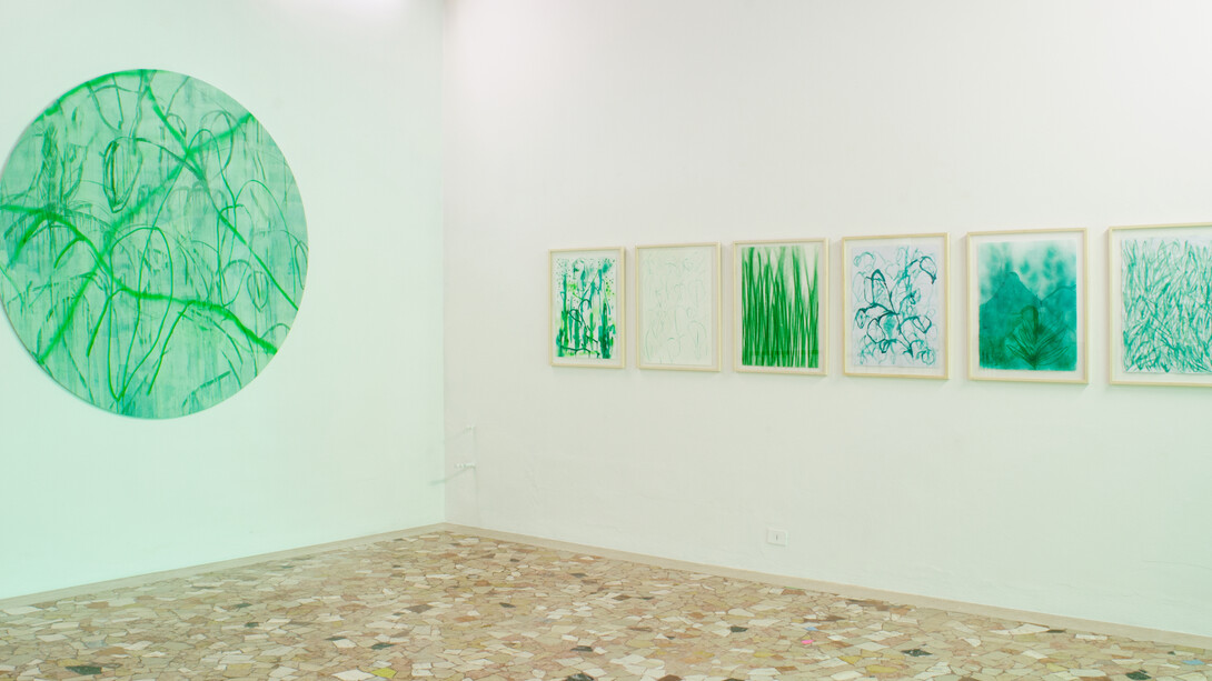Thomas Berra, Verde Indagine, installation view, Placentia Arte 2017, ph. Credit Marco Fava