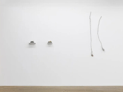 Frédérique Lucien, Pensées vagabondes, exhibition view. Courtesy of Backslash Gallery