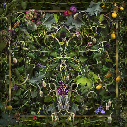 Lisa Frank, Fear, Loved 2013, archival digital print, edition of 10, 40 x 40 inches