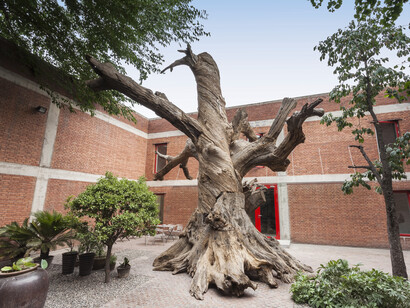 Ai Weiwei Tree, 2015, Tree sections, steel, 289 1/2 x 278 1/2 x 271 3/4 in (735 x 707 x 690 cm)