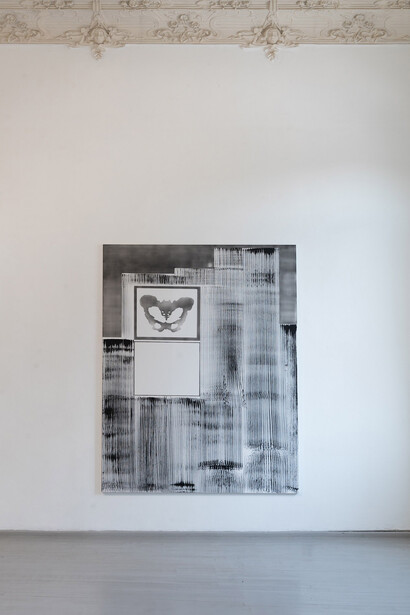 Photograph by Laurynas Skeisgiela  