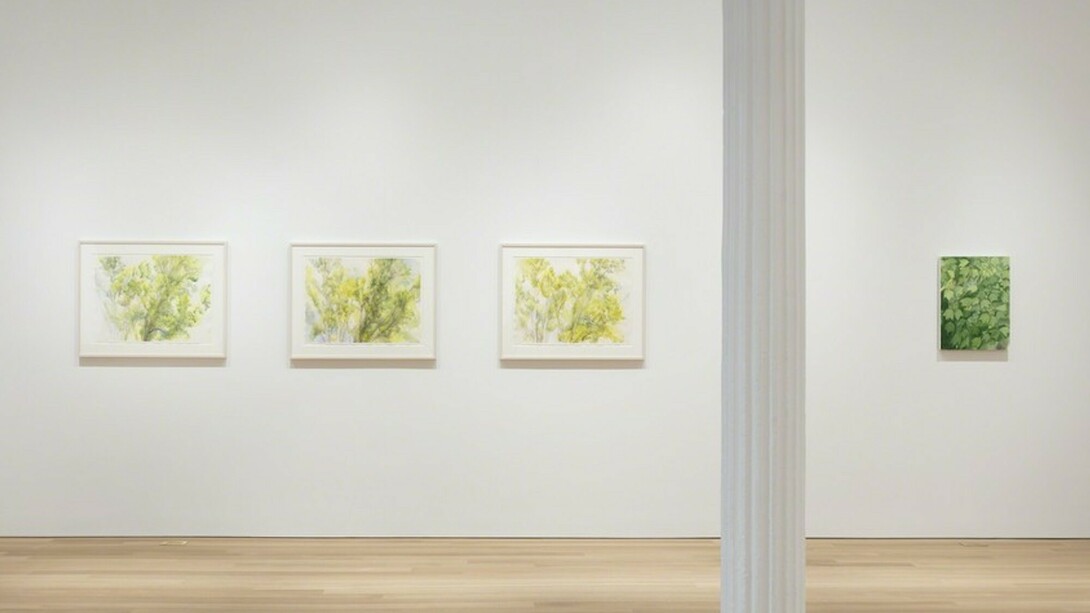 Sylvia Plimack Mangold, Exhibition view. Courtesy of Alexander and Bonin