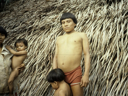 Yanomami