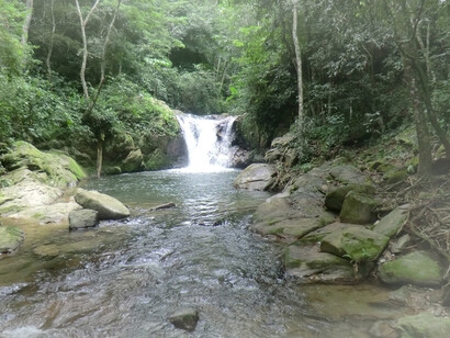 Parque nacional Waraira Repano