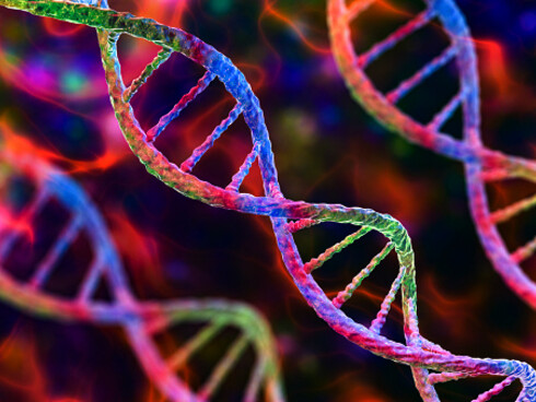 L'analisi del processo portato avanti con Proseeker può aiutare a capire quanto i modelli attuali relativi alle mutazioni e alle loro conseguenze siano corretti