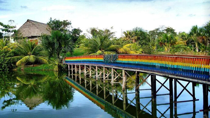 Puente en la selva peruana
