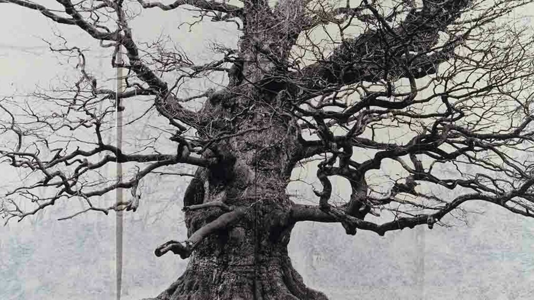 Tacita Dean. Courtesy of Royal Academy of Arts