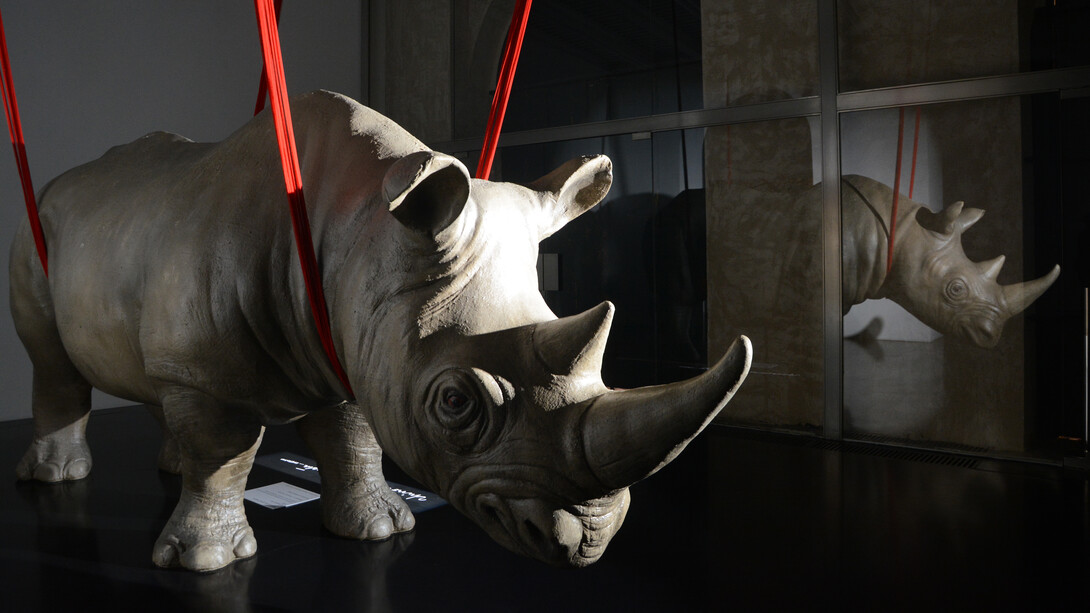 Pieza exhibida en la galería Rhinoceros ubicada en Roma, Italia