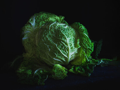 All the afflictions cabbage helps to cure 