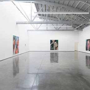 Jenna Gribbon, Like looking in a mirror, exhibition view. Courtesy of David Kordansky Gallery