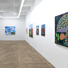 Eric Hibit, The big seed, exhibition view. Courtesy of Morgan Lehman Gallery