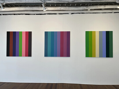 Fernando Uhía, Bipolares o Jurassic lines, vista de exhibición. Cortesía de Galería Nueveochenta