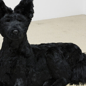 The Dog, the Tree and the Catfish. Courtesy of Steve Turner