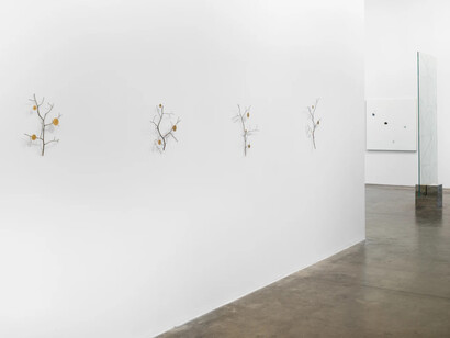 Daniel Steegmann Mangrané, Uma folha translúcida no lugar dos olhos, vista da exposição. Cortesia de Mendes Wood DM